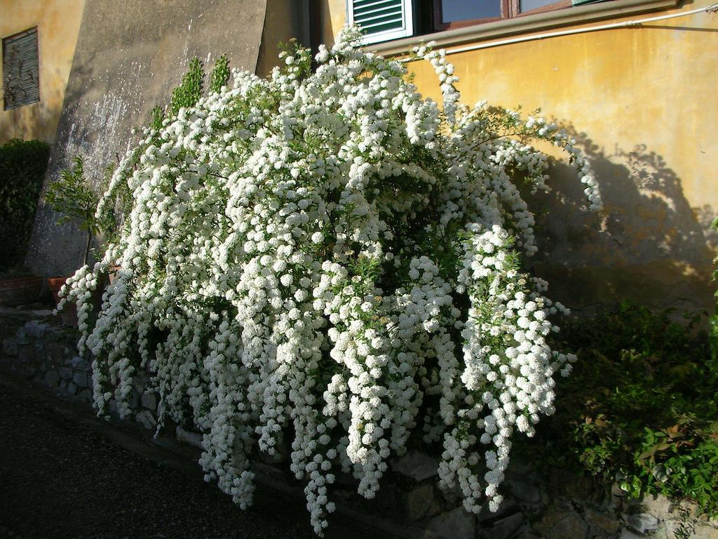Locanda Giolica Прато Екстериор снимка