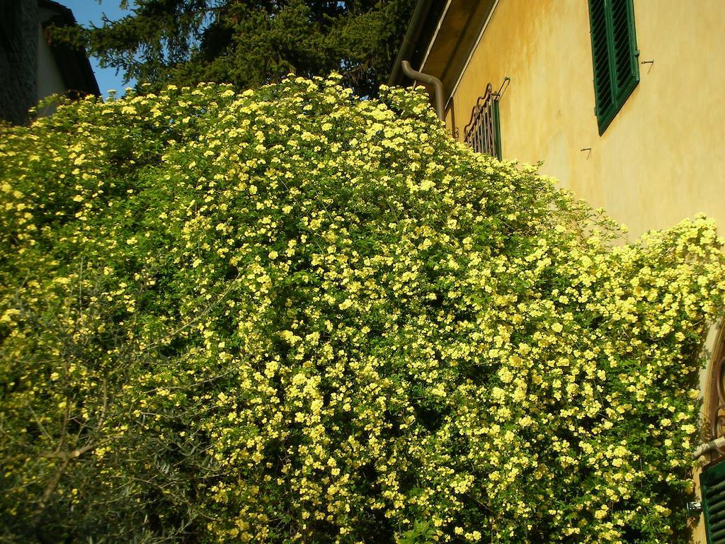Locanda Giolica Прато Екстериор снимка